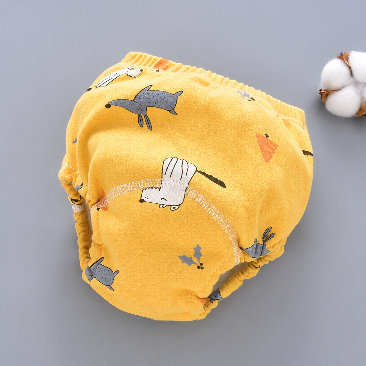 Culotte d'Apprentissage Premium